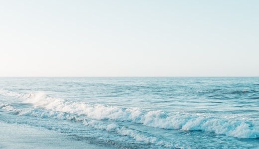 Amazonで応援してくださった大切な読者の皆様へ